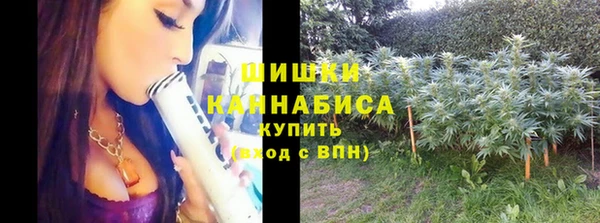 амф Зеленодольск
