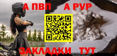 стаф Гатчина