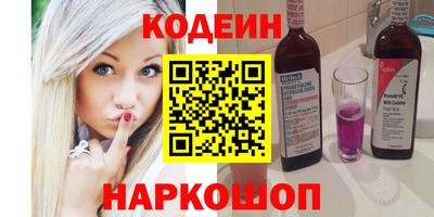 стаф Гатчина