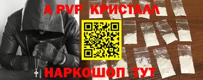 стаф Гатчина