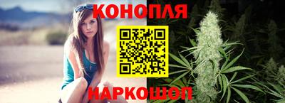 стаф Гатчина