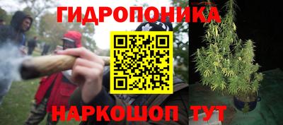 бутират Гай