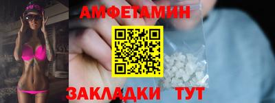 стаф Гатчина
