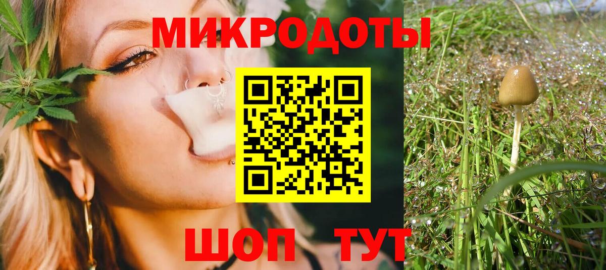 Псилоцибиновые грибы Psilocybe Чистополь