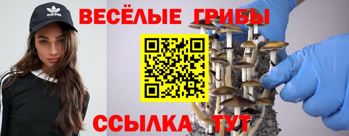 Чистополь  Галлюциногенные грибы Psilocybine cubensis  как найти закладки  Вход с VPN 